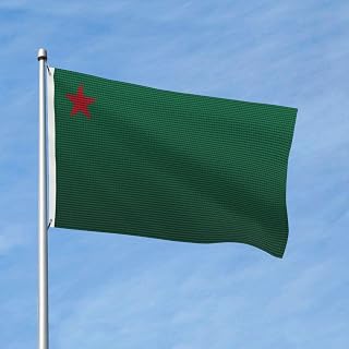 Double-Sided Flag Of Benin Knitting Effect Flag 3x5 Ft Outside Durable Polyester Decorative Banner Outdoor Yard Farmhouse Flags