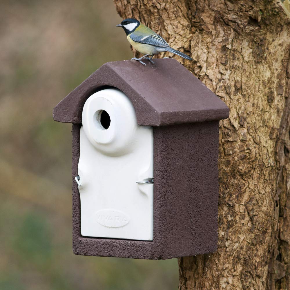 CJ Wildlife Bird Box for Gardens – Bird Nesting Box – WoodStone Brown Wood Fibre and Concrete – 32mm Hole for Great Tits, Tree Sparrows, Nuthatches – Predator Proof, Long Lasting