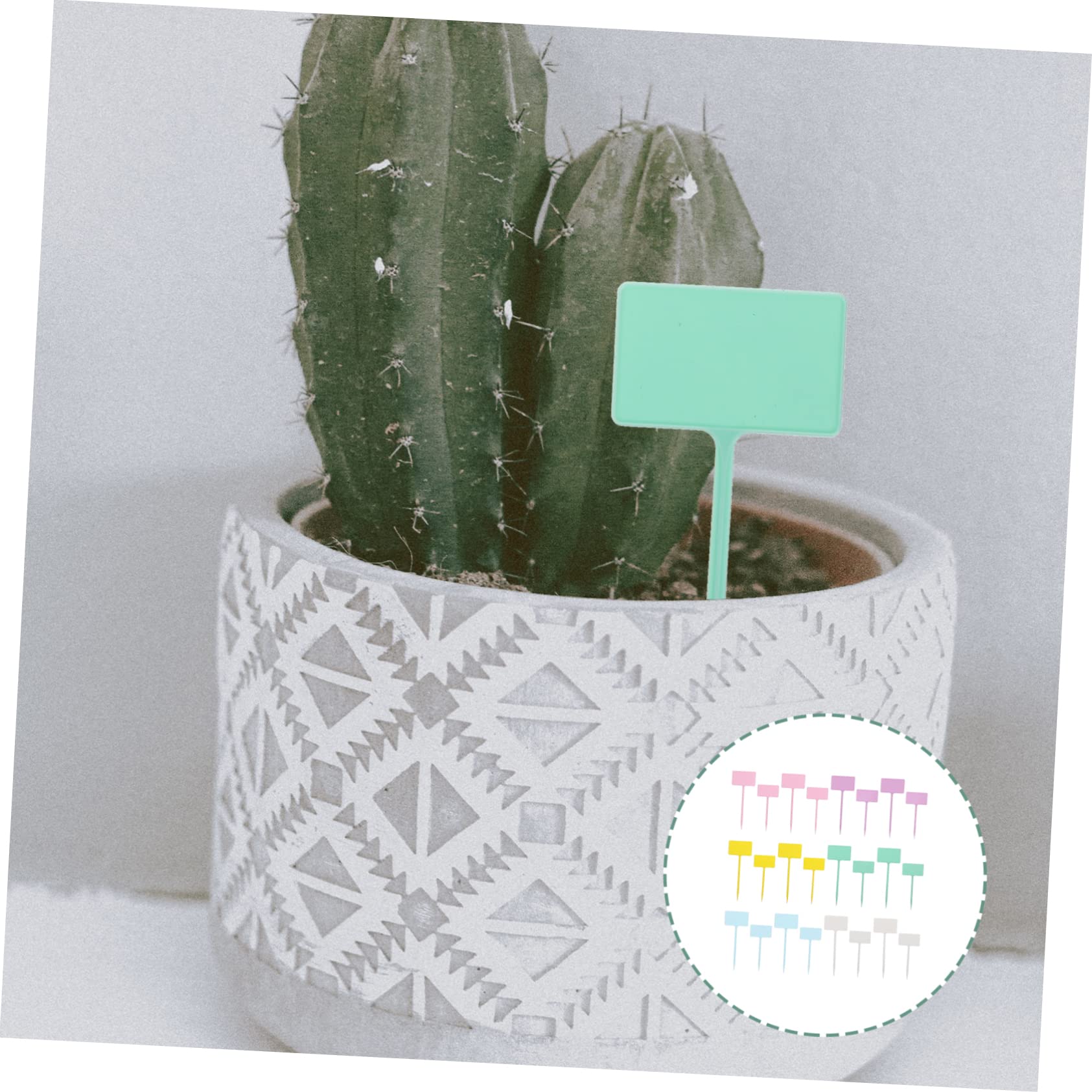 BESTonZON 5 Ensembles Étiquettes De Plantes Plastique Multicolores Lot De Durable Réutilisable Pour Jardinage Intérieur Pour Identifier Fleurs Plantes 24 Pièces * 5