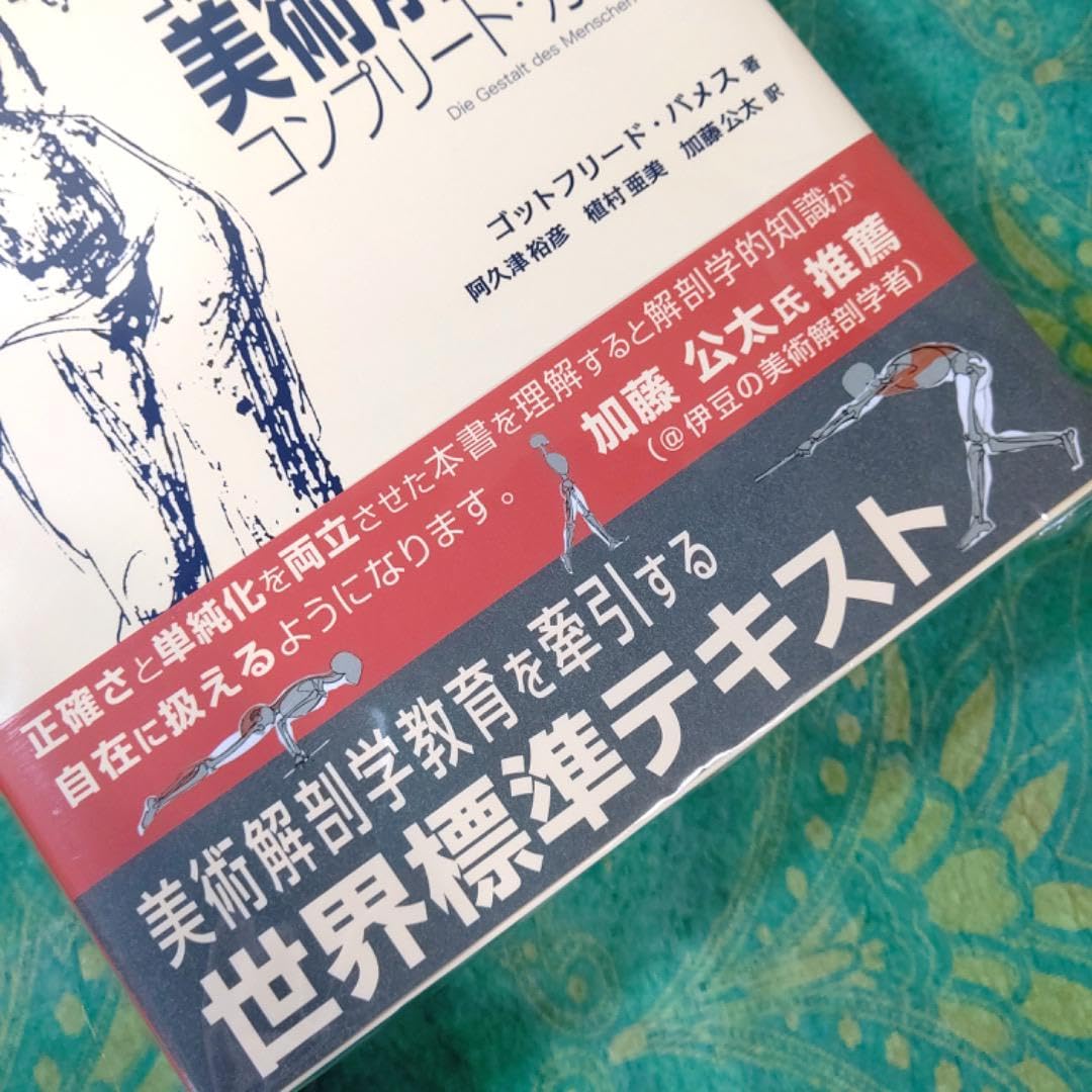 Amazon.co.jp: ゴットフリードバメスの美術解剖学 : Office Products