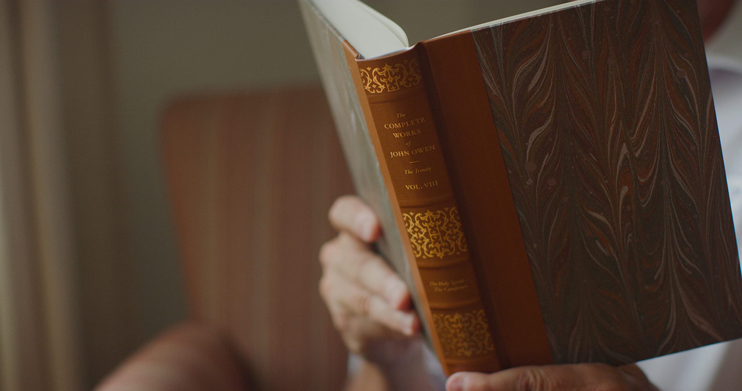 The Holy Spirit--The Helper (Volume 7) (The Complete Works of John Owen) - Image 2