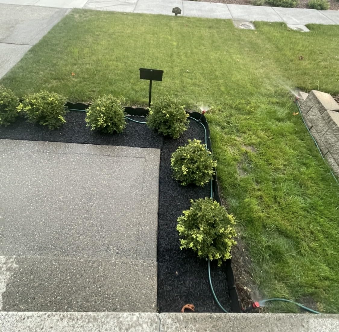 Customer photo