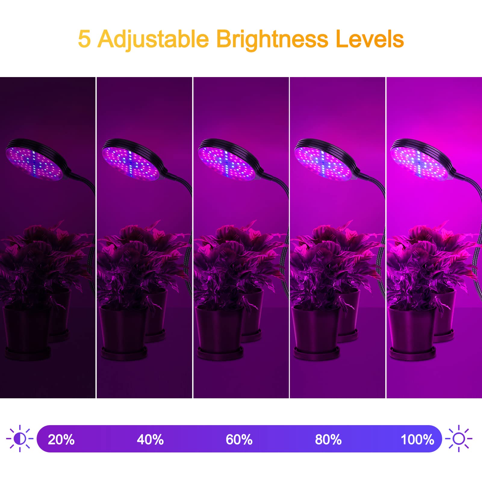 Irfora LED Grow Light para plantas de interior, 60 W, 4 cabezales de LED rojos y azules, encendido y apagado automático con temporizador de 4/8/12H, 3 modos de luz, 5 niveles de brillo, IP66,