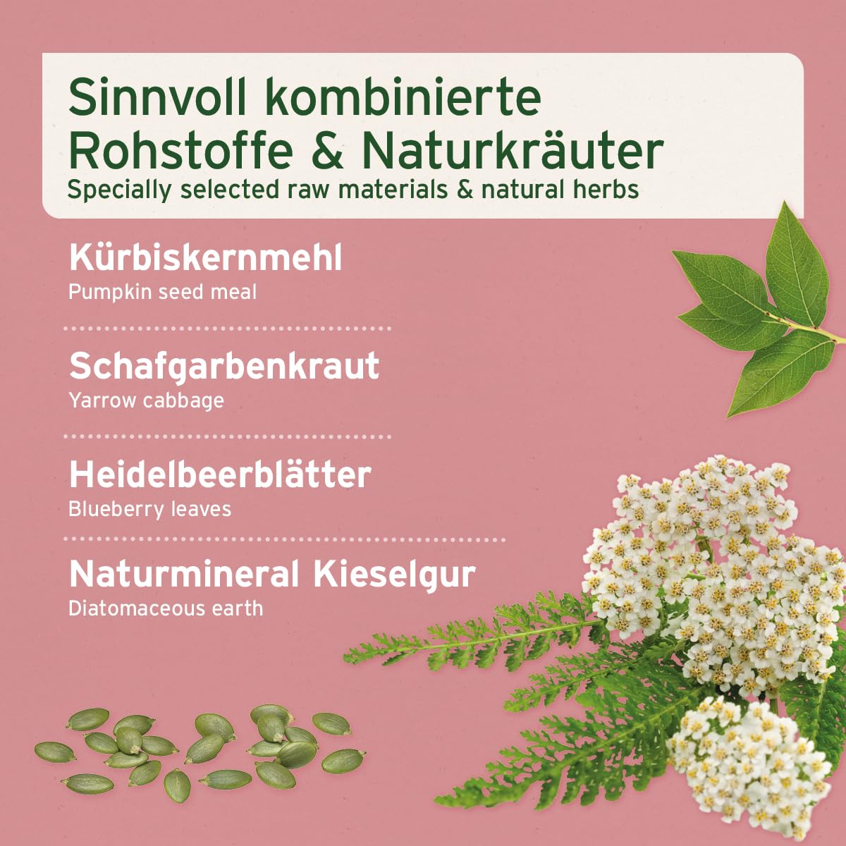 AniForte Blasen-Formel für Hunde 100 g - Weniger Gassi gehen, Unterstützt die Blasenfunktion bei Blasenschwäche, Inkontinez, Harnverlust & Urinverlust
