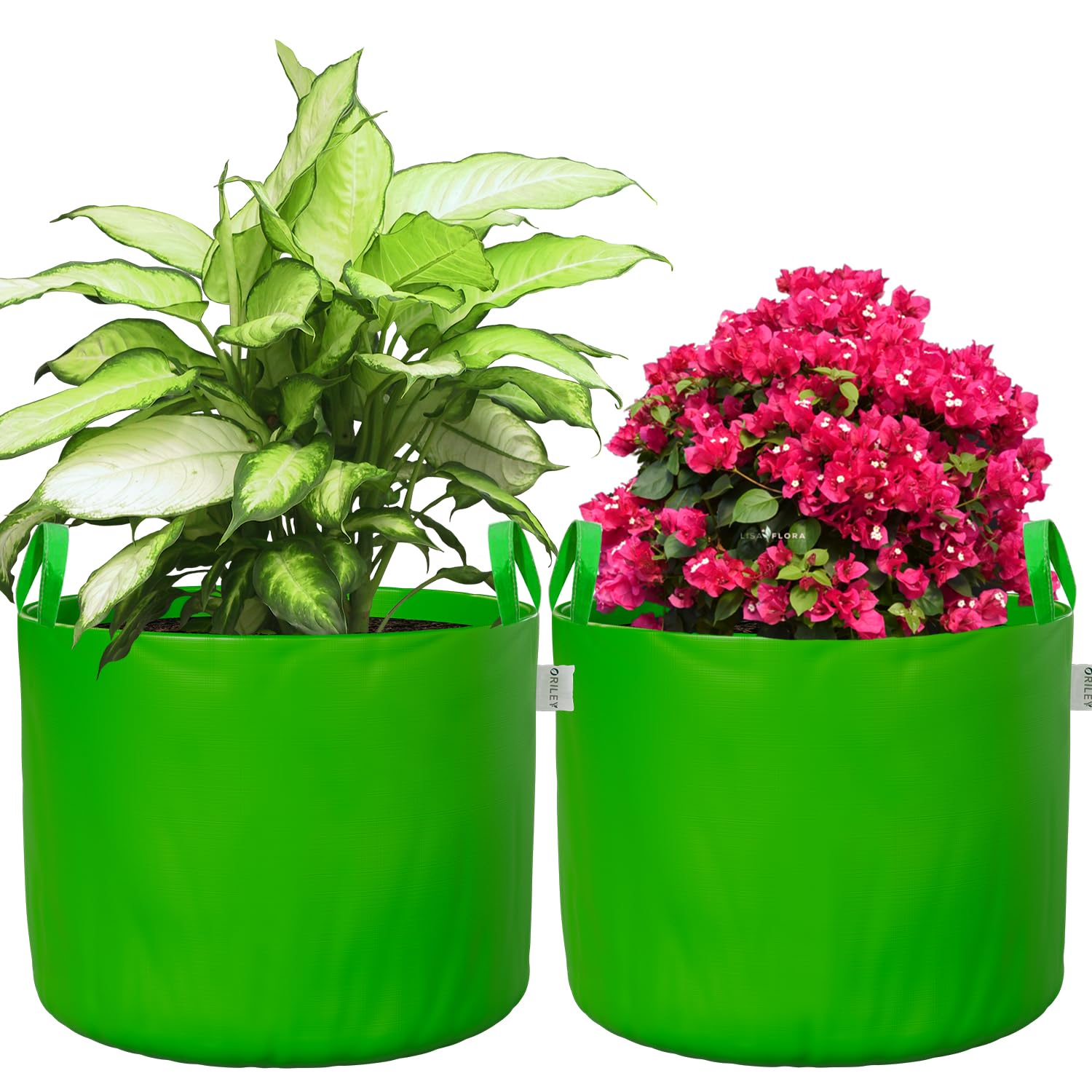 Oriley Grow Bags - Durable Plant Containers -11 Oriley Grow Bags - Durable Plant Containers -11