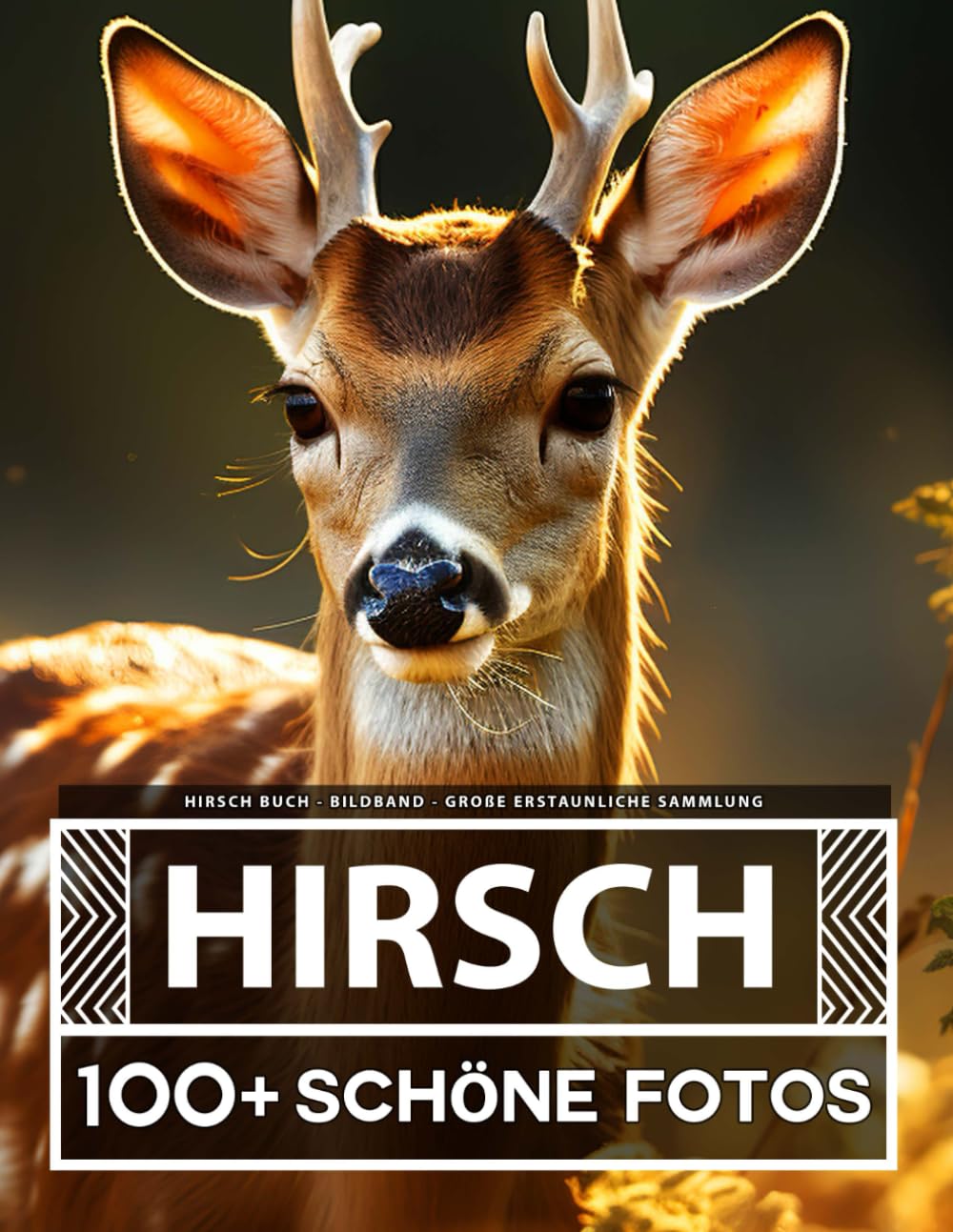 Hirsch Buch - Bildband - Große Erstaunliche Sammlung: 100 Wunderschöne Bildern - Für Kinder und Erwachsene