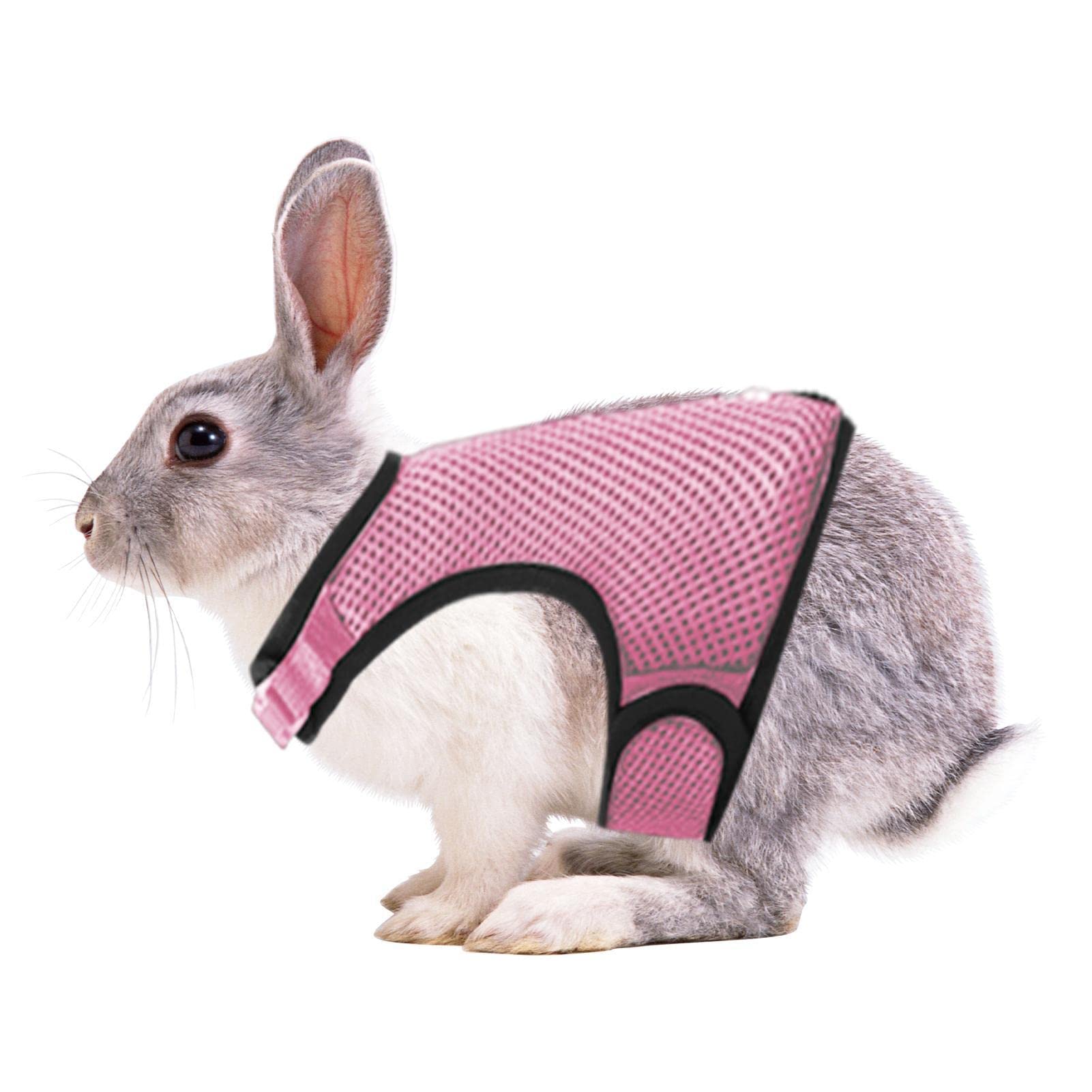 Veeteah Cat Harness - Adjustable Mesh Vest Harness - Cat Harness and Leash Set for Small to Large Cats, Escape Proof Soft Harness