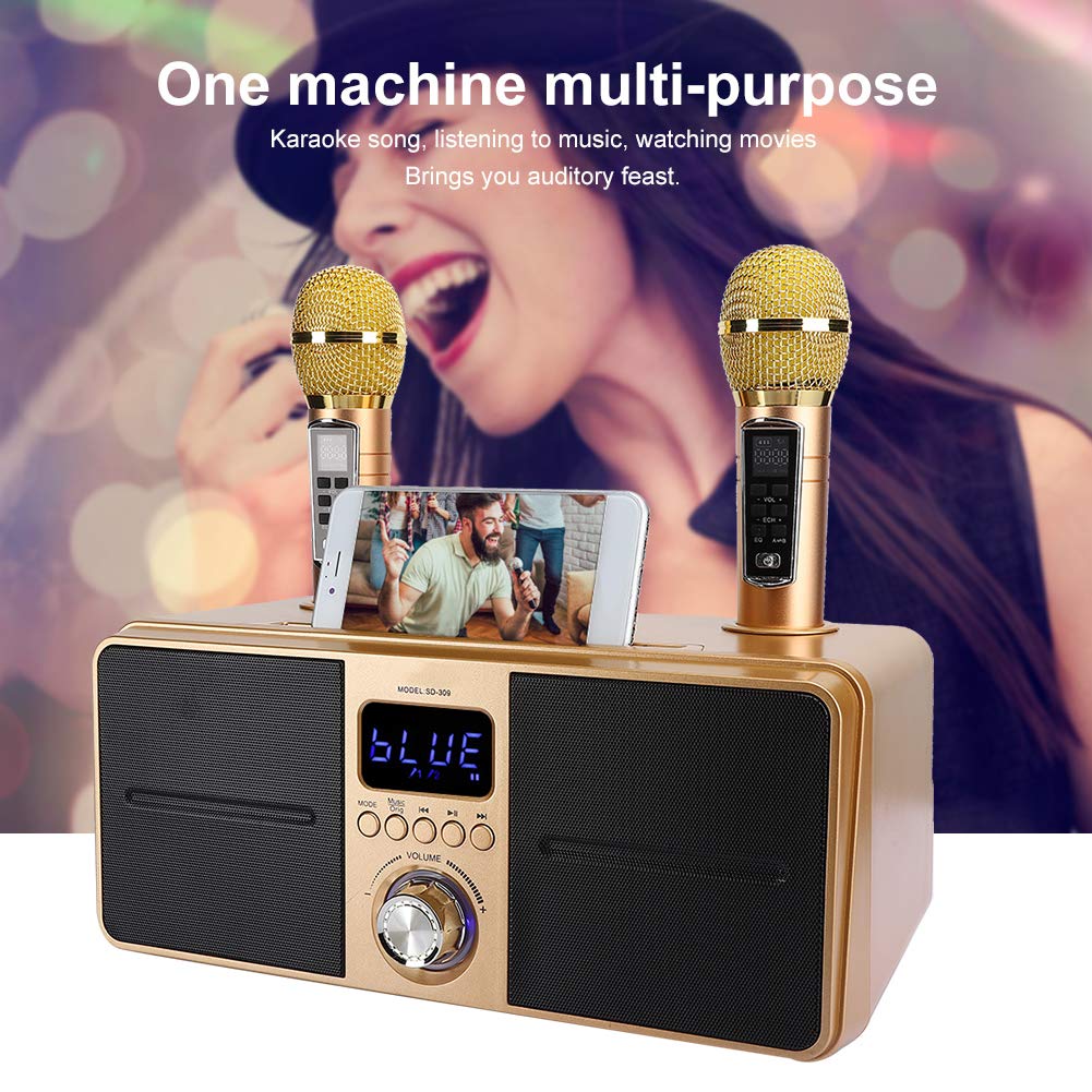Bewinner1 Karaoke Bluetooth, Casse Karaoke con 2 Microfoni Wireless, PA Bluetooth Portatile, Altoparlante Karaoke con Supporto per Cellulare/USB/TF/AUX