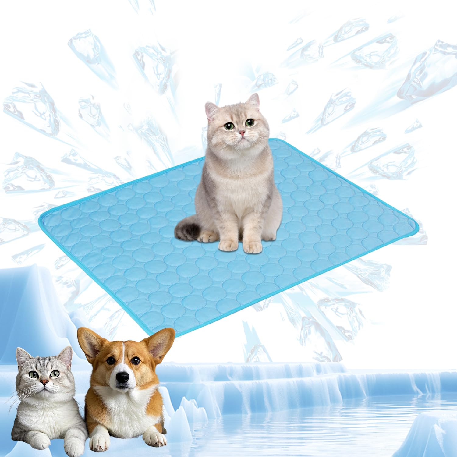 Tapis Rafraîchissant Lavable Pour Chien Et Chat - ETOPARS - Tissu Mesh 3D Respirant - Fond Antidérapant