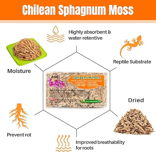 Miniatura 3 de Sukh Musgo de esfagnum para plantas de 10 onzas  Sphagnum Turba Musgo Natural Premium Premium Larga Fibra Chile Secado Musgo Mezcla para macetas