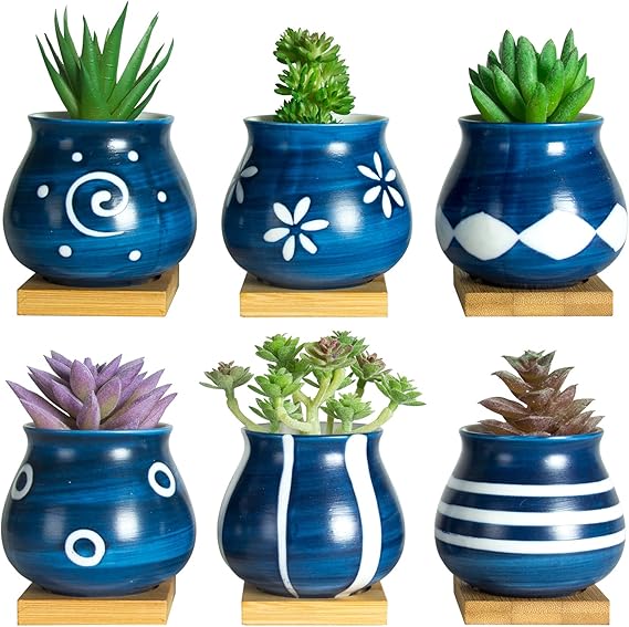 Cute Succulent Pots with Drainage Bamboo Tray 3