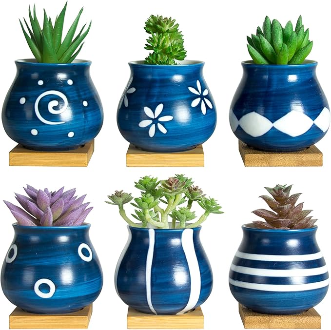 Cute Succulent Pots with Drainage Bamboo Tray 3" Succulent Planters with Drainage