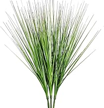 Amazon Com Tall Grass Plants