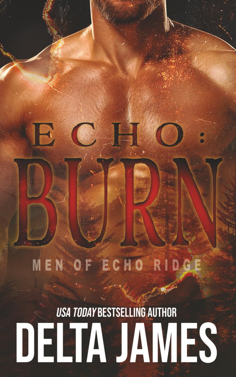 Echo: Burn: A Military Romantic Suspense (Men of Echo Ridge)