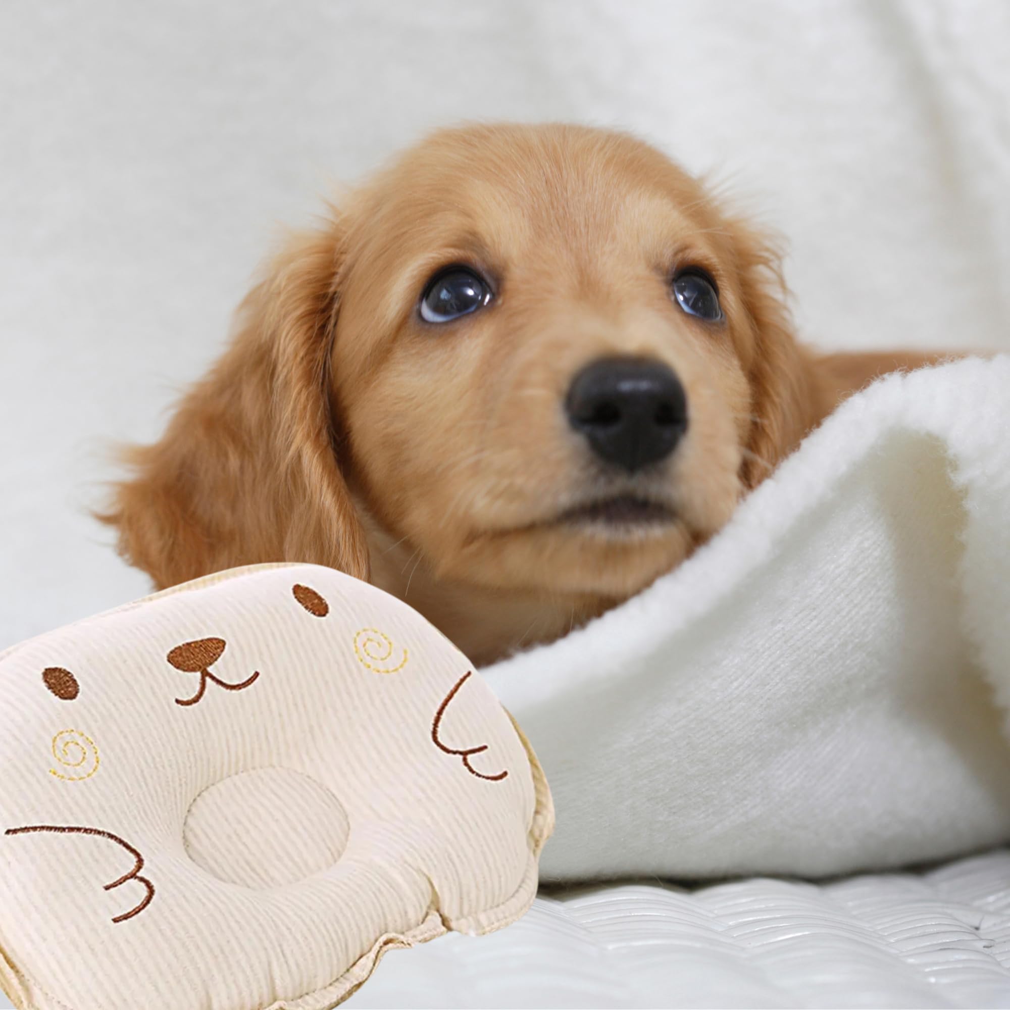 Piccolo cuscino per gatti e cani, giocattolo – morbido cuscino per animali domestici – morbido, soffice e confortevole, ideale per trasportino, divano, cesto e riposo quotidiano interno