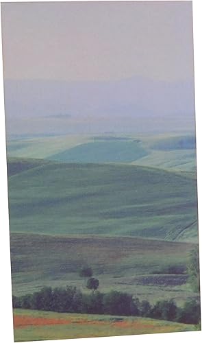 Miniatura 5 de Westmon Works Paquete de 10 tarjetas de San Patricio con patrón de oración, Saint of Ireland, fabricado en los Estados Unidos, juego de 10