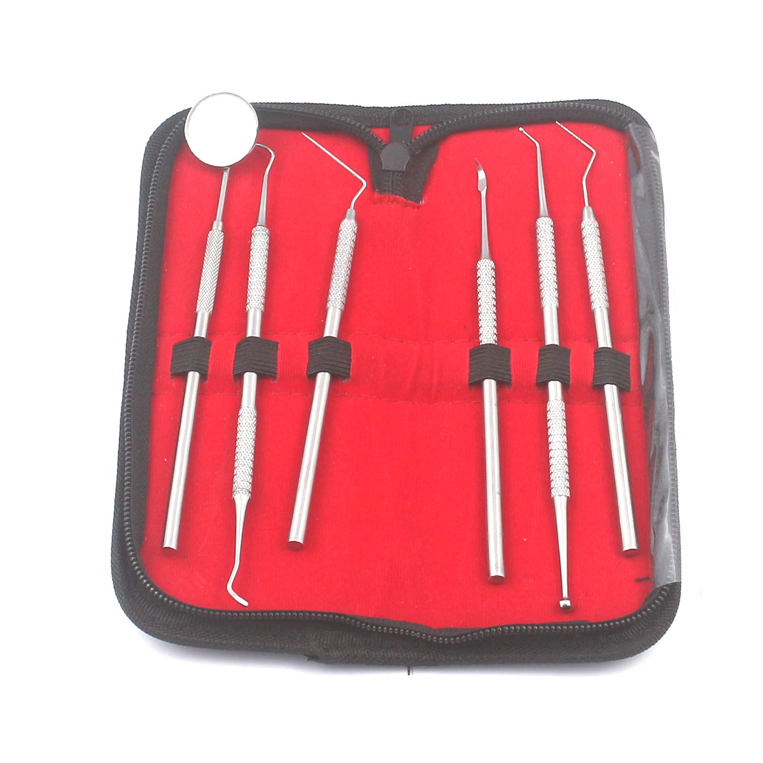 AAProTools Dental Dentist Pick Tool Kit 6 Piece Up to 8 Tools - Dentist, Dentistry & Dental Instruments Kit - Ideal Gift for Medic Students and Personal Use