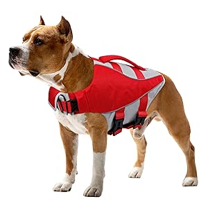 Queenmore Dog Life Jacket,Life Vest for Large Medium Small Dogs,Adjustable Reflective Dog Swimming Vest,High Buoyancy Dog Lifesaver,Pet Life Preserver (Red,X-Small)