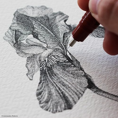 Miniatura 2 de Rotring 1903399 Isograph  Pluma de dibujo, 0.3 mm (0.01 pulg.), importada genuina