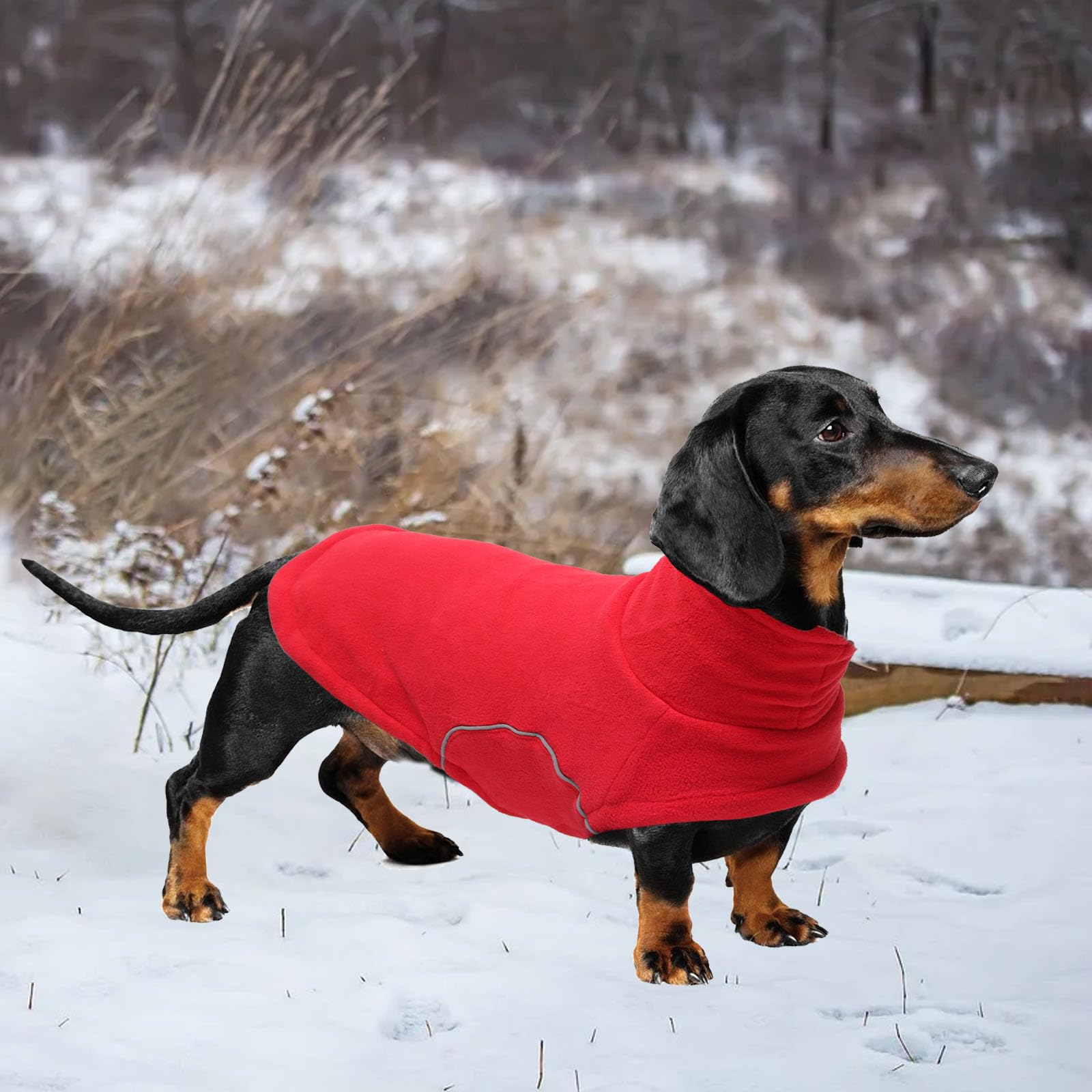 babepet Dog Fleece Jumper,Soft Dachshund Coat,Warm Coats & Jackets for Dogs With Leash Hole,Reflective Miniature Dachshund Clothes for Winter Cold Weather,Outdoor Indoor Pet Vest-Red-M - Image 2