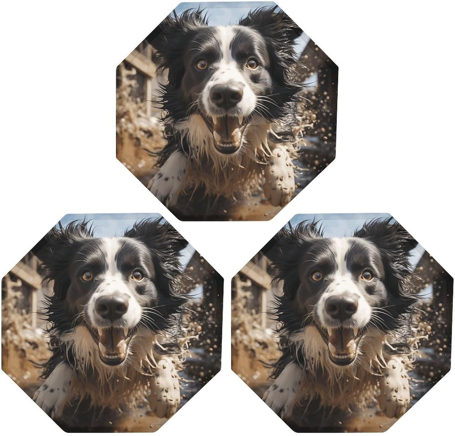 Ctagon Metal Sign for Home, Modern Display Plate for Kitchen, Pastor Border Collie Plates Accent Hanging Wall Decorations 3PCS for Living Room, Bedroom, Hallway, Hotel