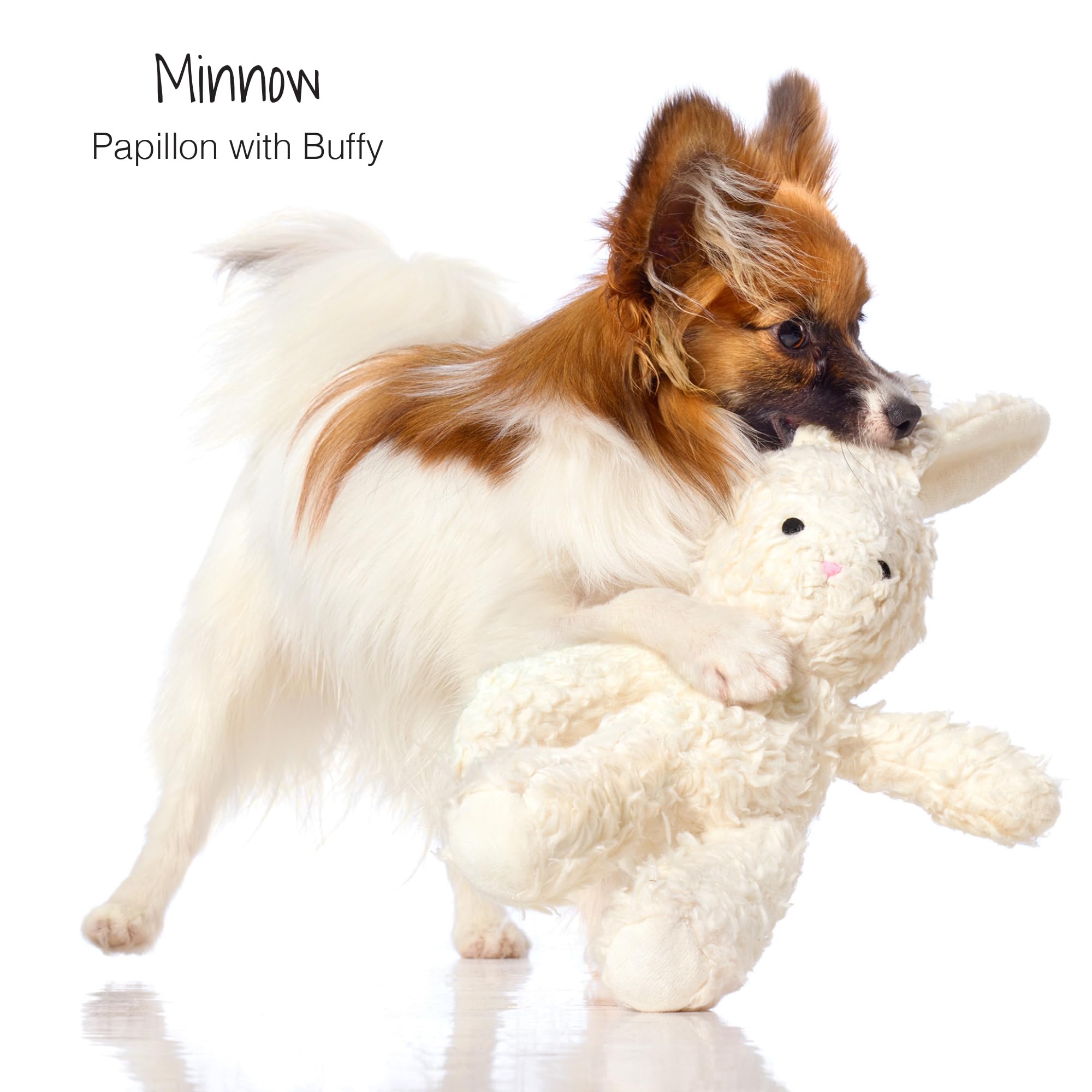 Pet Passion Juguetes de felpa de algodón duradero para perros con relleno de coco para todas las razas de mascotas, conejo, talla única