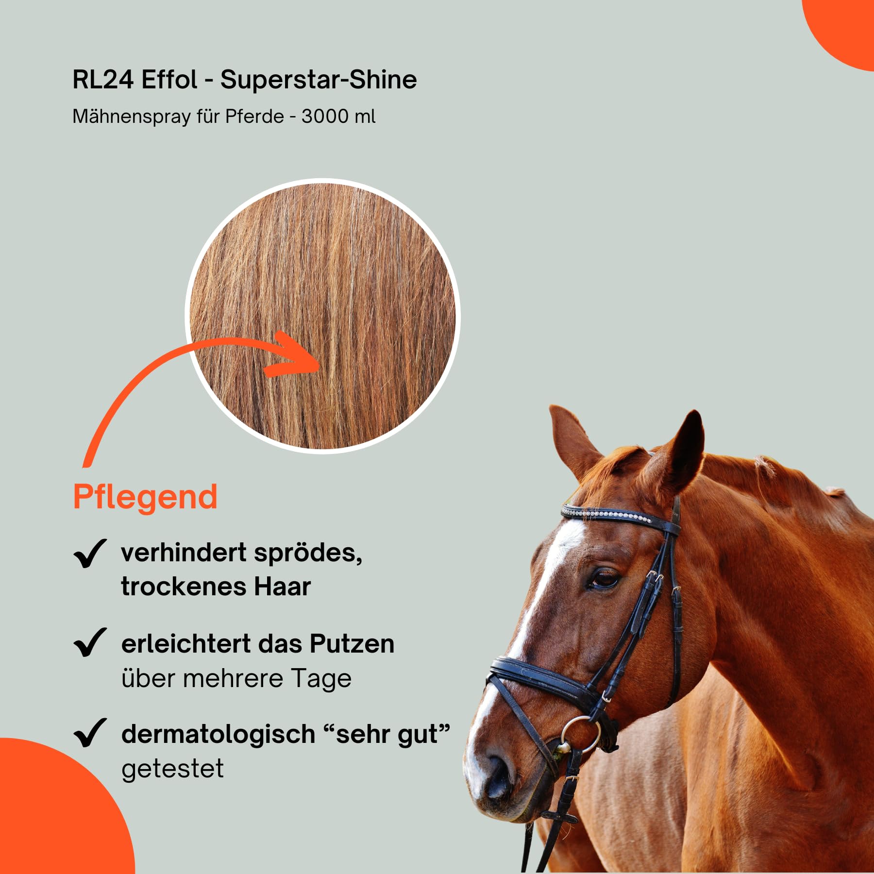 RL24 - Superstar-Shine Mähnenspray für Pferde – 1 x 3000 ml