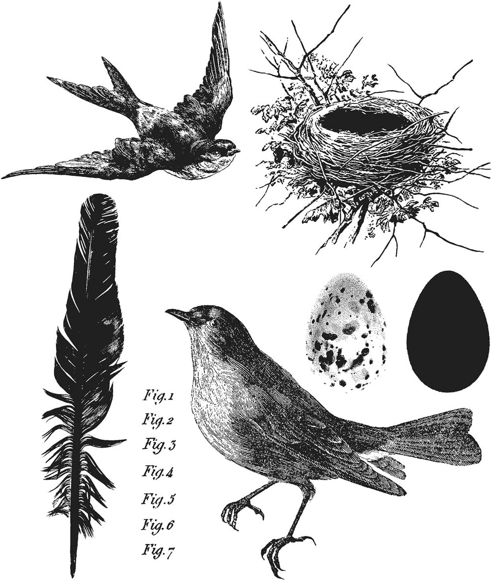 Stampers Anonymous Tim Holtz Cling Rubber Stamp Set, 7-Inch by 8.5-Inch, Bird Feather