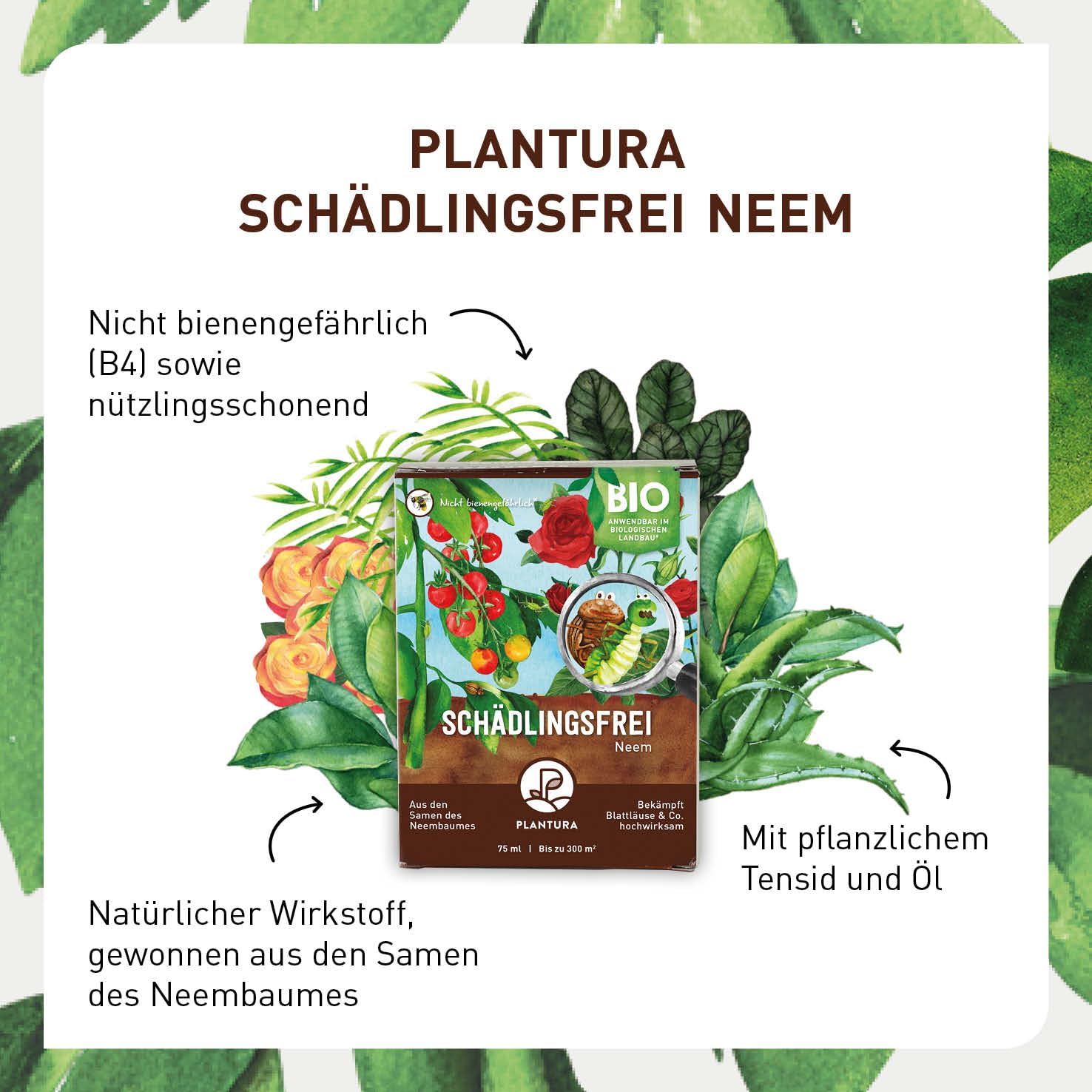 Plantura Bio-Schädlingsfrei Neem, effektive Schädlingsbekämpfung mit Neem, gegen Blattläuse, Thripse & Co. an Gemüse, Kräutern & Zierpflanzen, 75 ml Konzentrat für bis zu 25 L (300 m²)