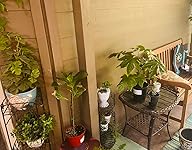 Review Image by Molly Mix Molly Mix