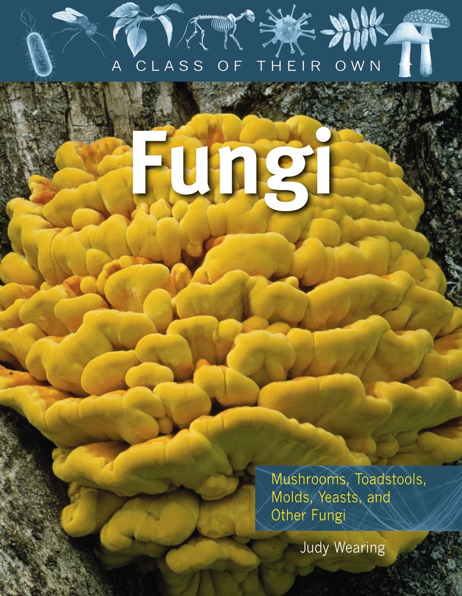 Fungi: Mushrooms, Toadstools, Molds, Yeasts, and Other Fungi (Class of Their Own)