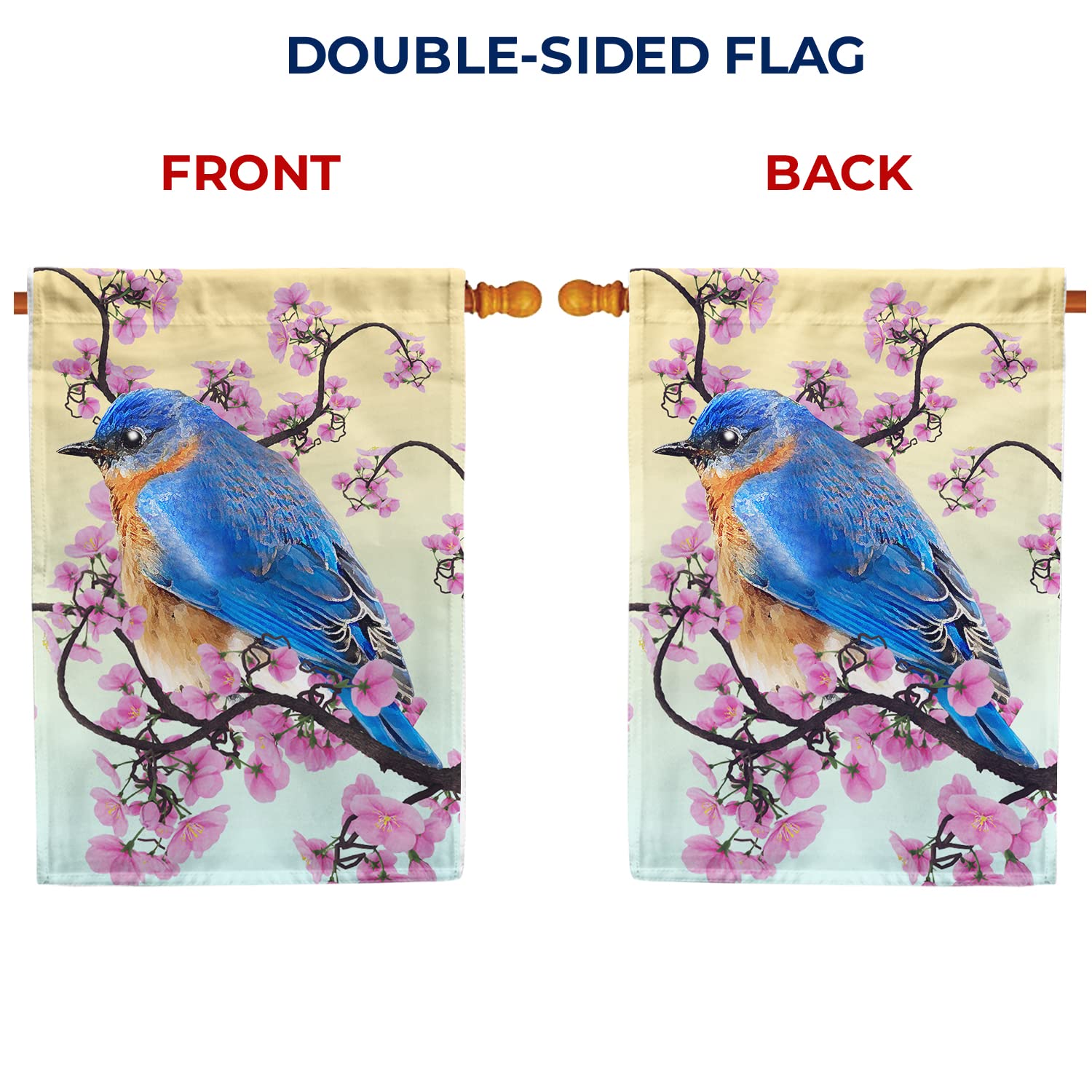 秋山花　「THE 3 BIRDS AND A FLAG」 秋山花「THE 3 BIRDS AND A FLAG」