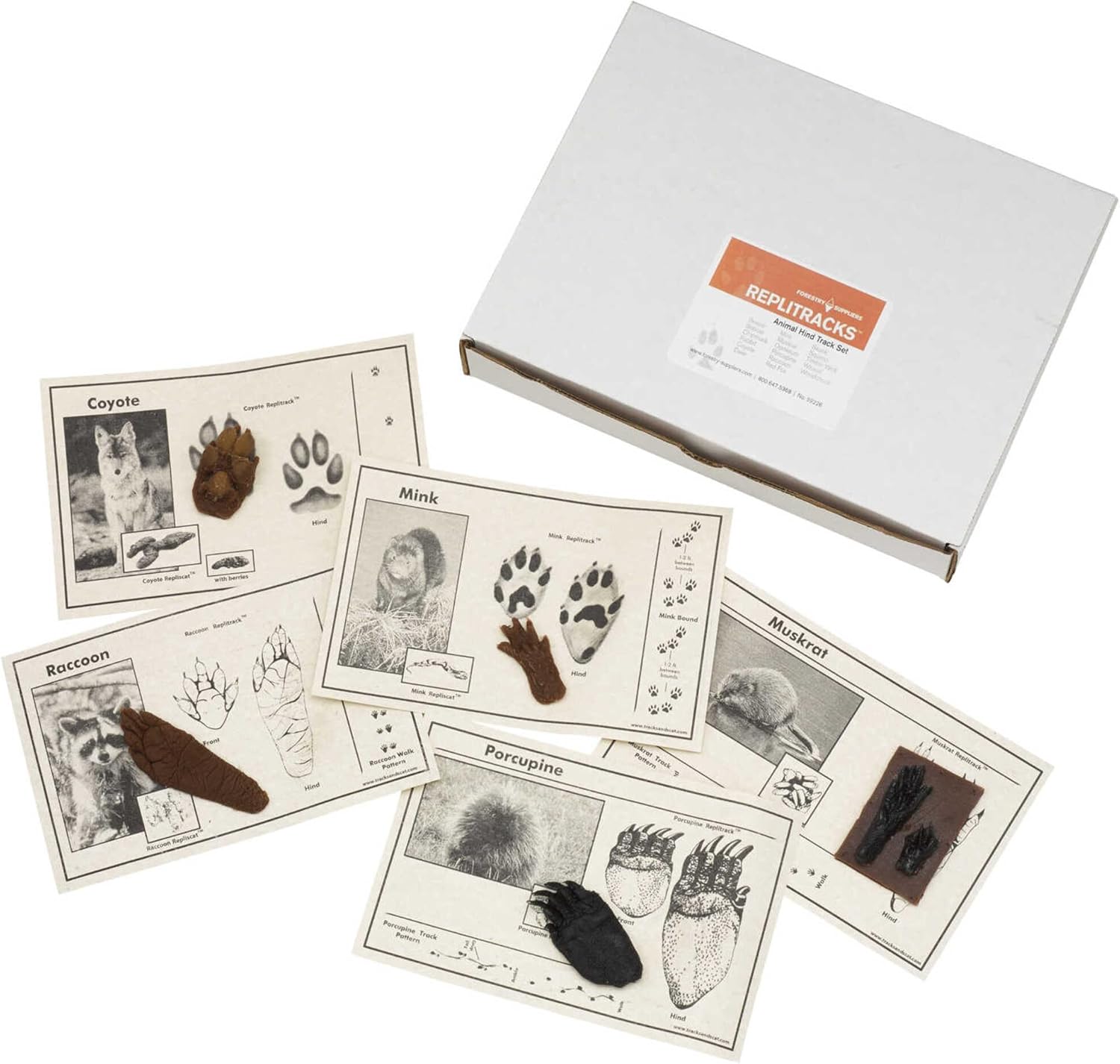 Forestry Suppliers Replitracks, Hind Track Only Set