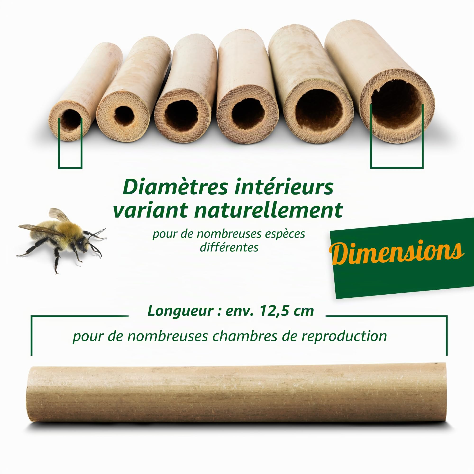 GARDIGO® Tubes en Bambou Premium pour Hôtel à Insectes - Lot de 300 | Tubes de Nidification en Bambou pour Abeilles Sauvages | Bords Nettoyés | Accessoire de Remplissage pour Maison à Insectes