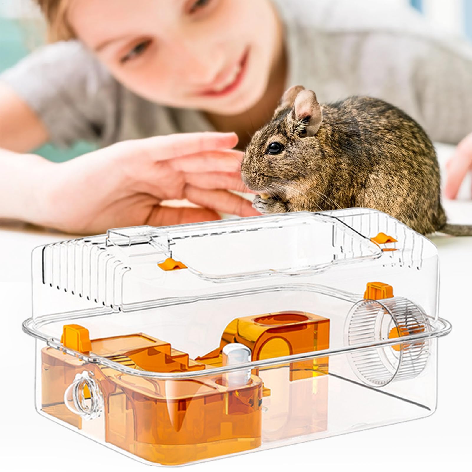 Gabbia per Criceti con Ruota Girevole e Trasparenti | Box per Lettiera e Habitat per Topi per Piccoli Animali Domestici come Criceti Nani, Topi Siriani e Coniglietti, per Casa, ,