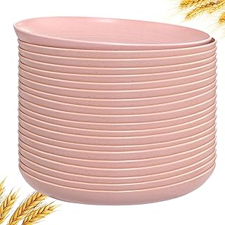 LIYH 20 Pcs Wheat Straw Plastic Pink Plates - 9 Inch Unbreakable Dinner Plate Reusable - Dishwasher & Microwave Safe, Lightweight Plates for kitchen Camping Outside