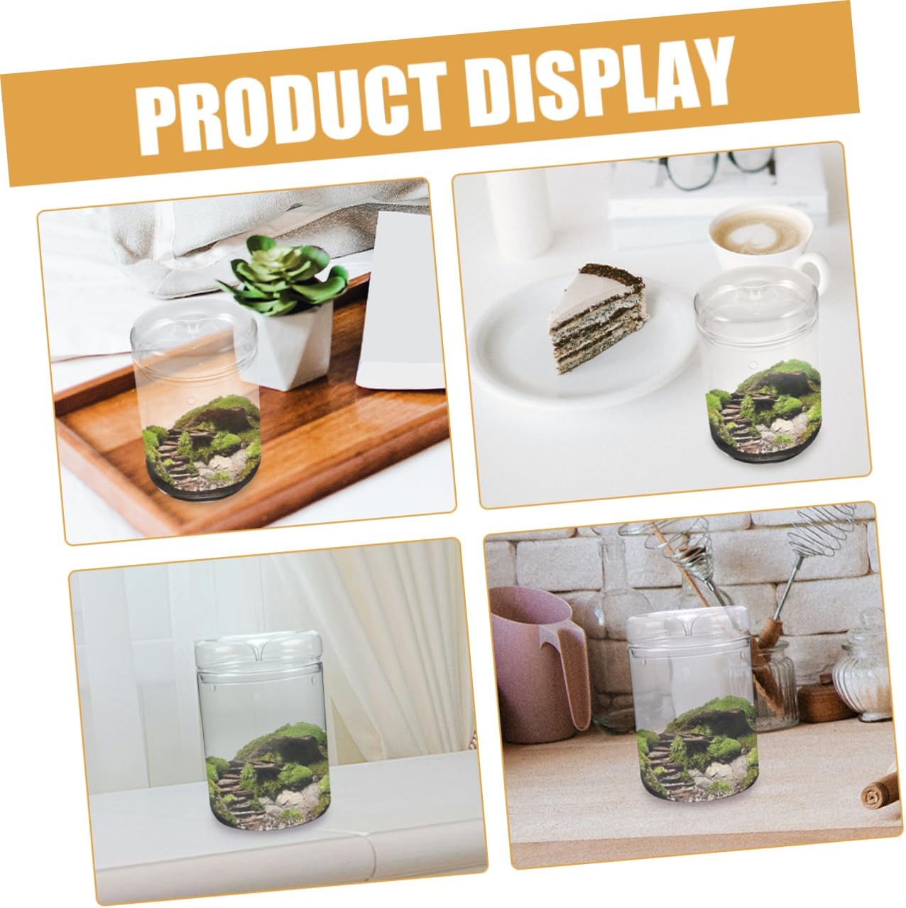 VANZACK Plant Terrarium Glass Vase DIY Hydroponic Planter for Succulent and Moss Decorative Desktop Landscape Bottle for Home and Office Design