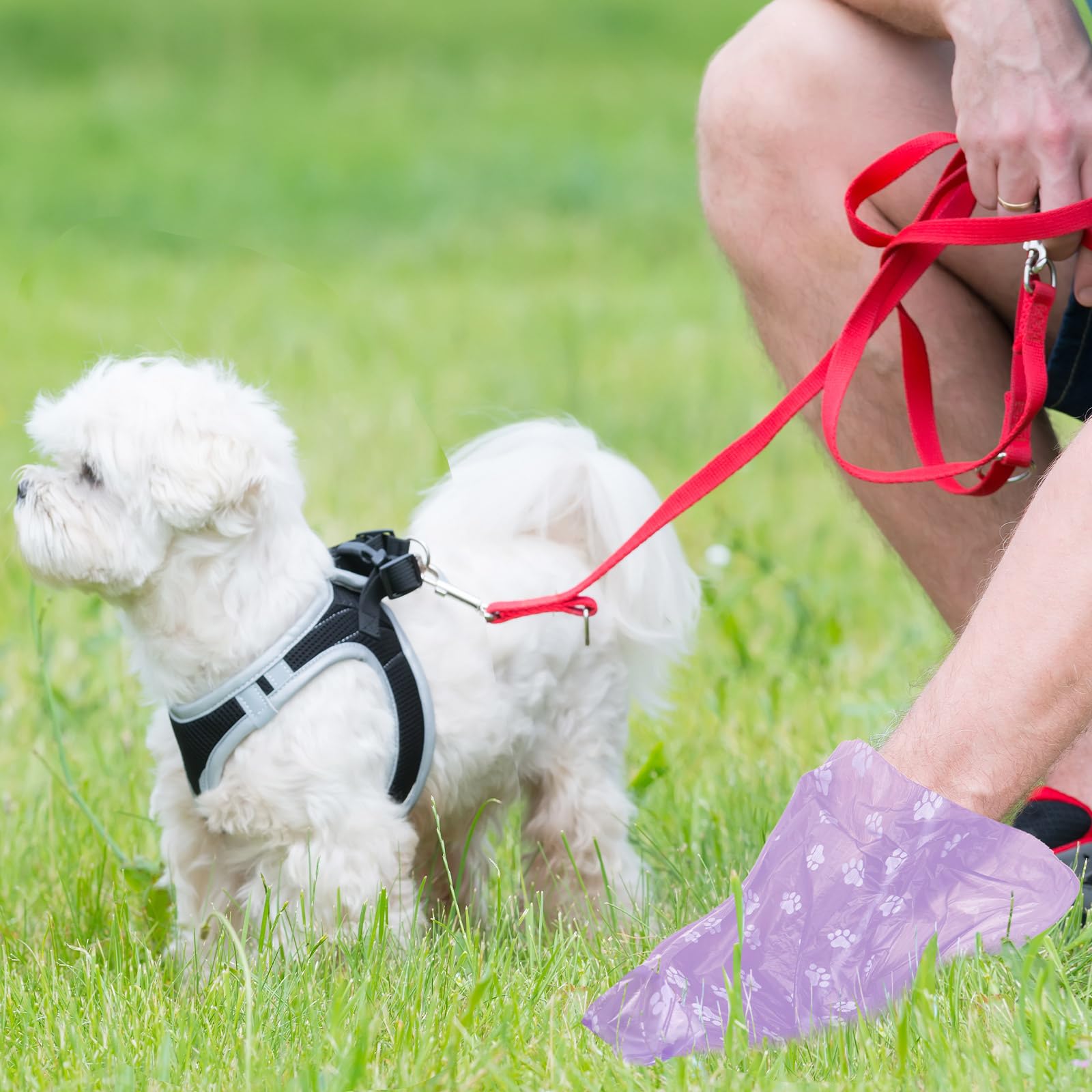 Thenshop Hundekotbeutel aus Kunststoff, Einwegbeutel für Hundekotbeutel, für Hunde, Haustiere, Kot, Outdoor, Spaziergänge, Reisen, gemischte Farben, 3000 Stück, 200 Stück