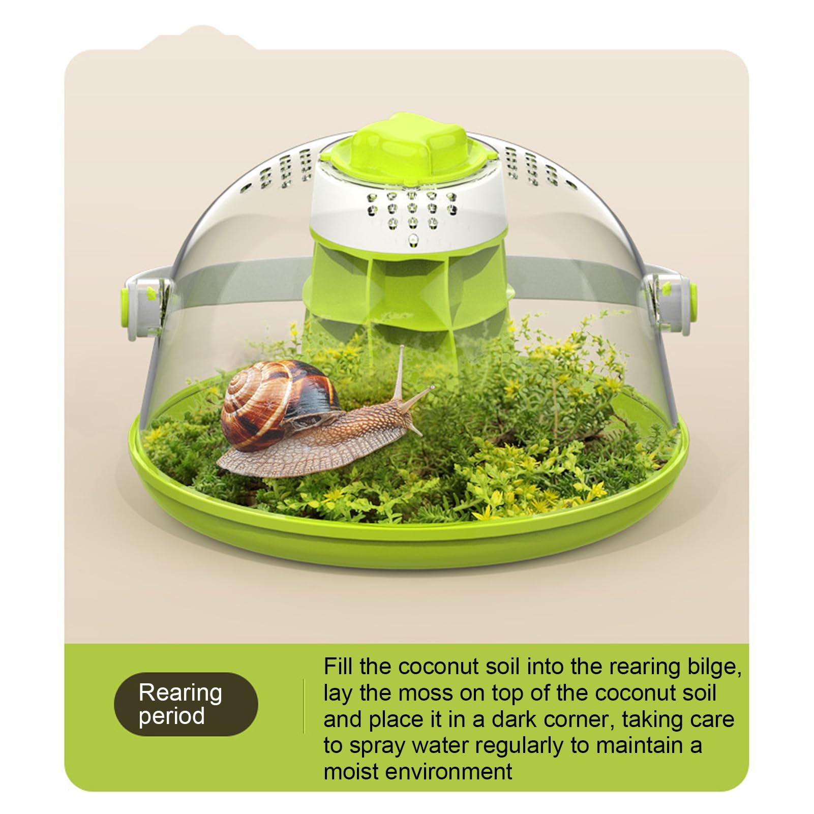 Boîte d'Observation d'Escargots Transparente, Matériel Pédagogique Scientifique pour Enfants, Conception Innovante, Cadeau Éducatif