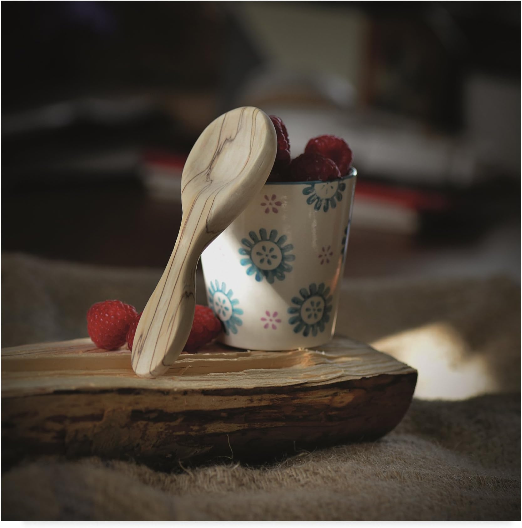 Wooden Ribs by Christine Sainte-Laudy, 24x24-Inch
