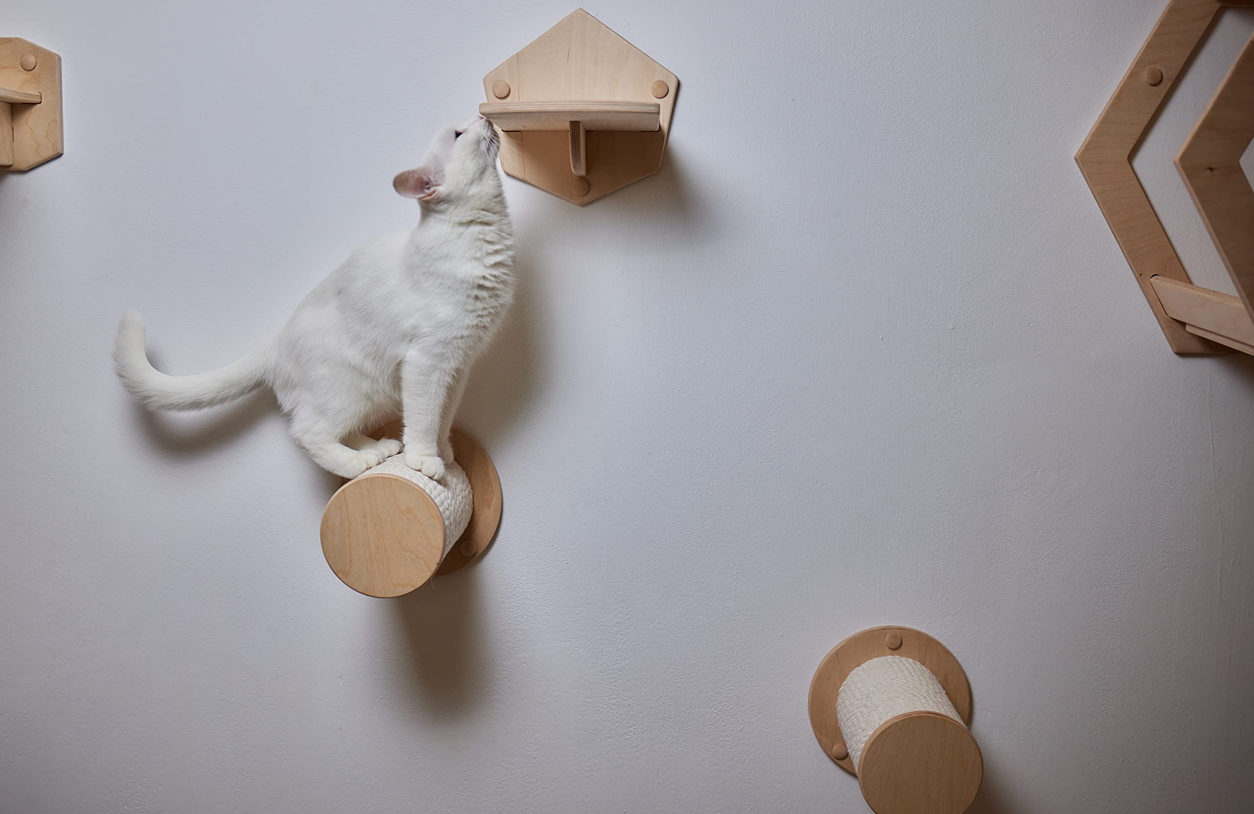 DQ-PP SISALSEIL | 50 m | 10 mm stark | Natürliches Sisal Seil für Kratzbaum Katzenbaum | Kratzseil DIY Fuer Katzen Ersatzteile