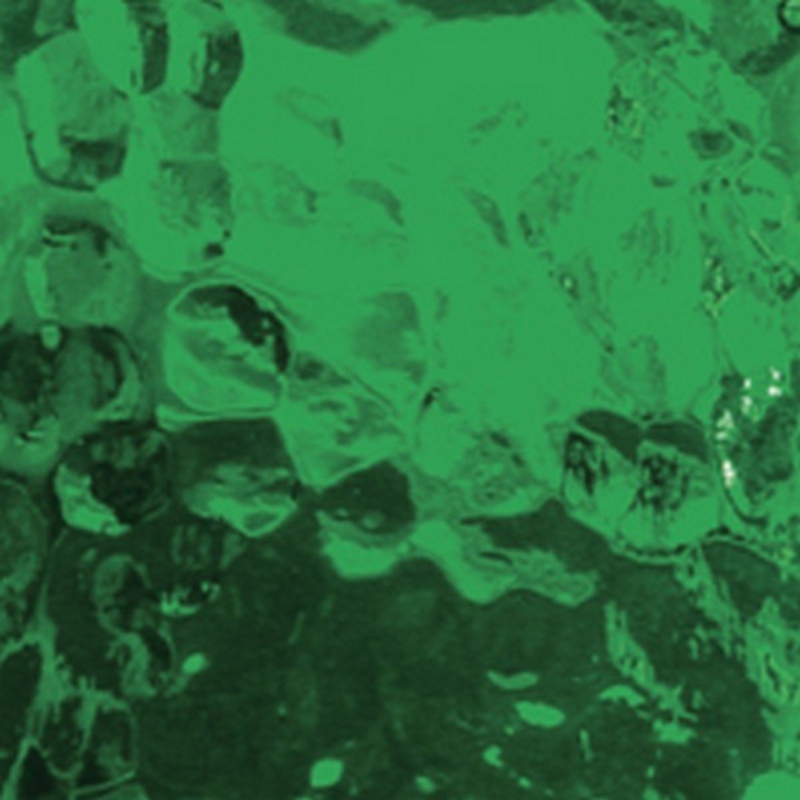 Green Granite Wissmach Stained Glass Sheet - 8