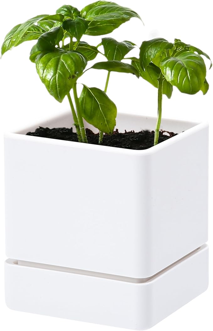D'vine Dev 4 Inch Herb Planter Pot, Plastic Planter with