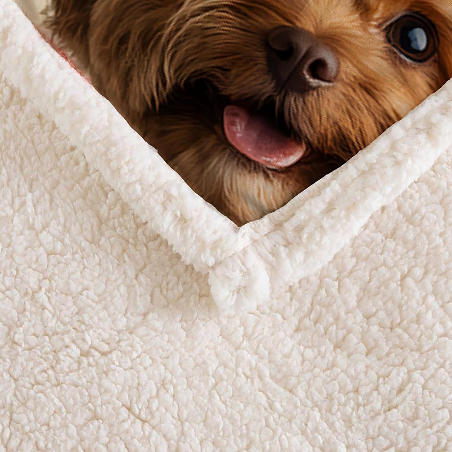 AILONEN Brown Puppy Throw Blanket, 59 x 47 Inches,Cute Animal Themed Sherpa Fleece Blanket for Boys Girls,Fluffy Teddy Dog Soft Blankets for Room Decor