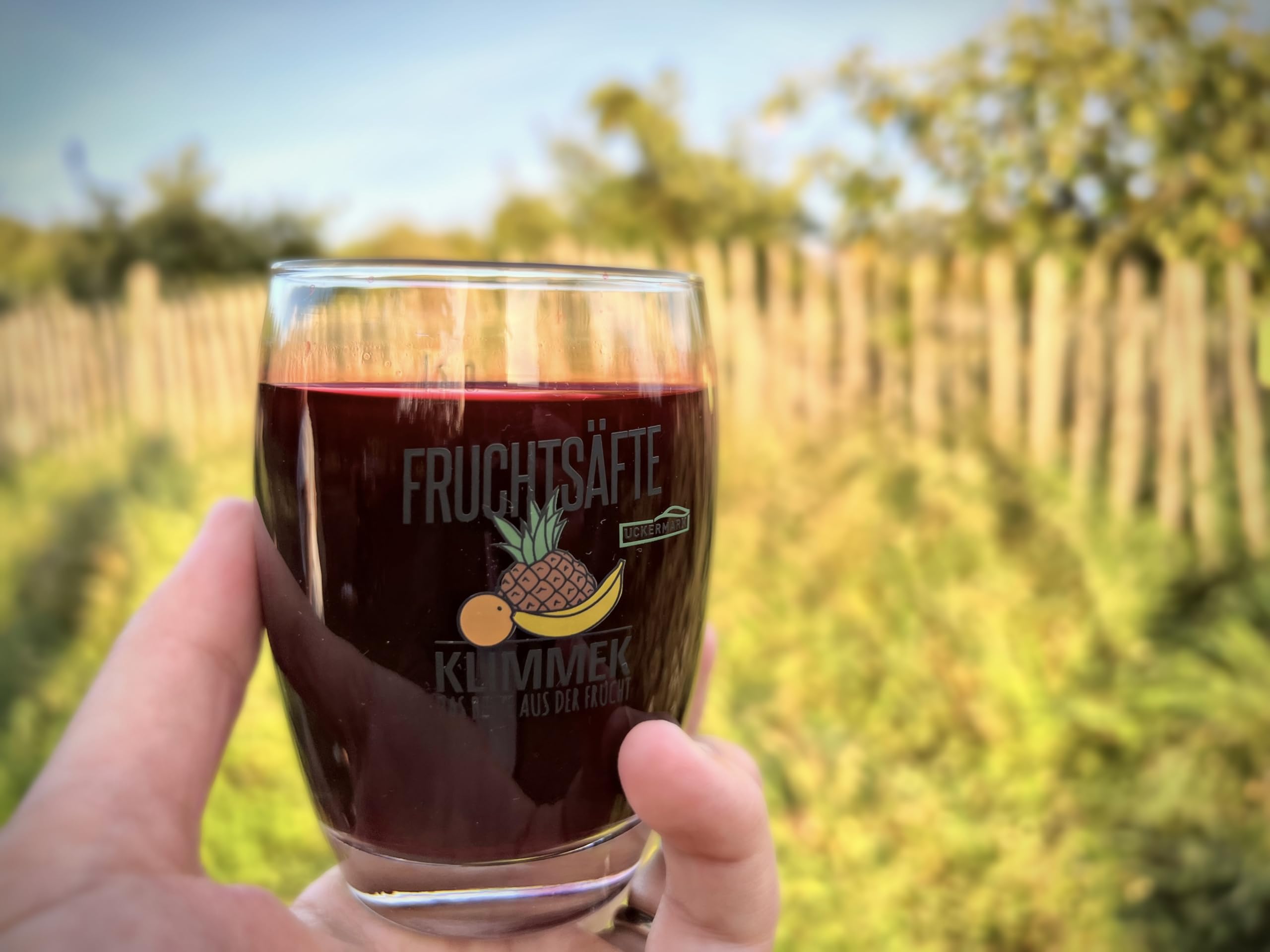 Bio Rote Betesaft 3L – 100% Direktsaft aus roten Beeten, naturbelassen & ungesüßt – ohne Zuckerzusatz, vegan & kaltgepresst im praktischen Bag-in-Box Karton