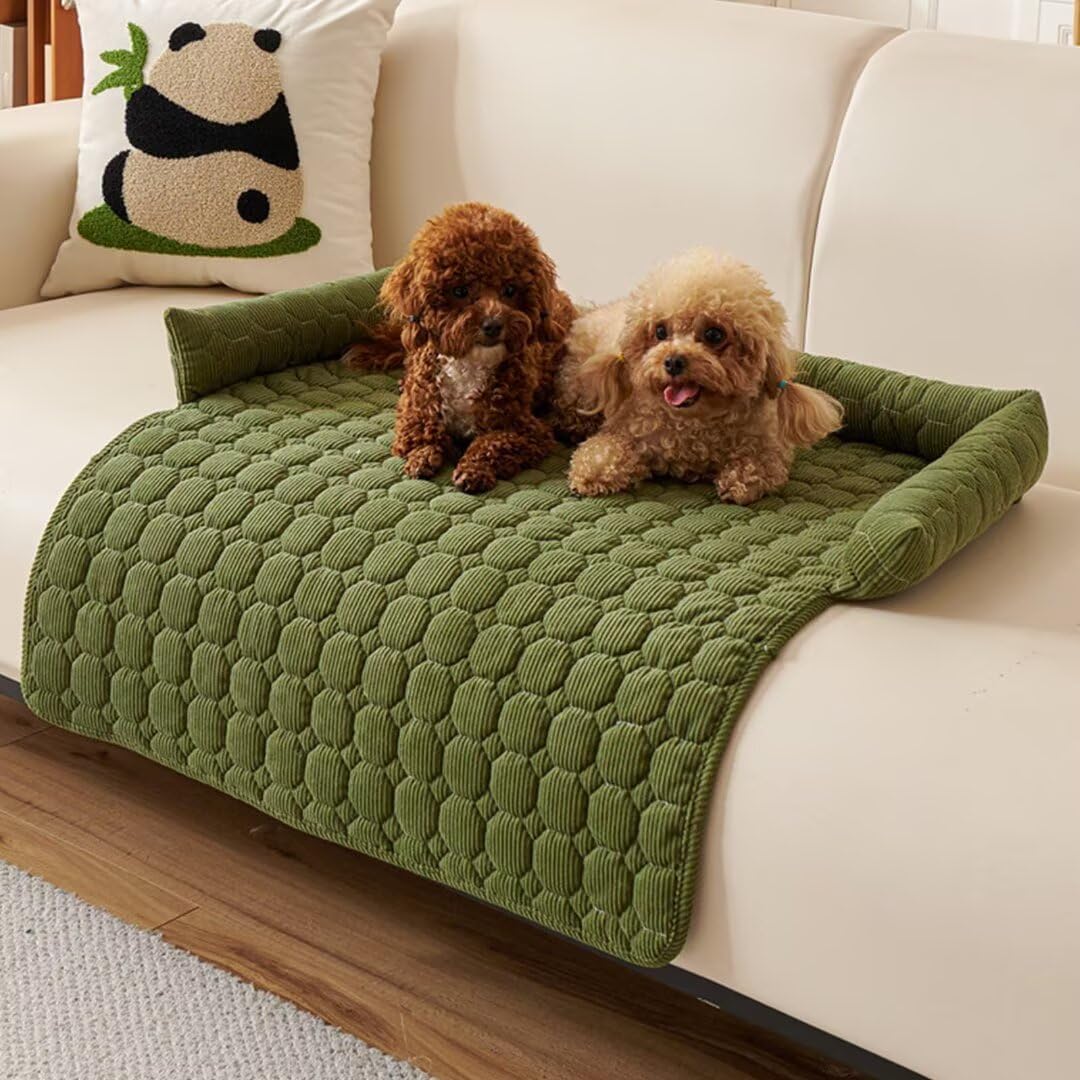 Lit pour chien vert de 75 cm, offrez un nid douillet à votre compagnon