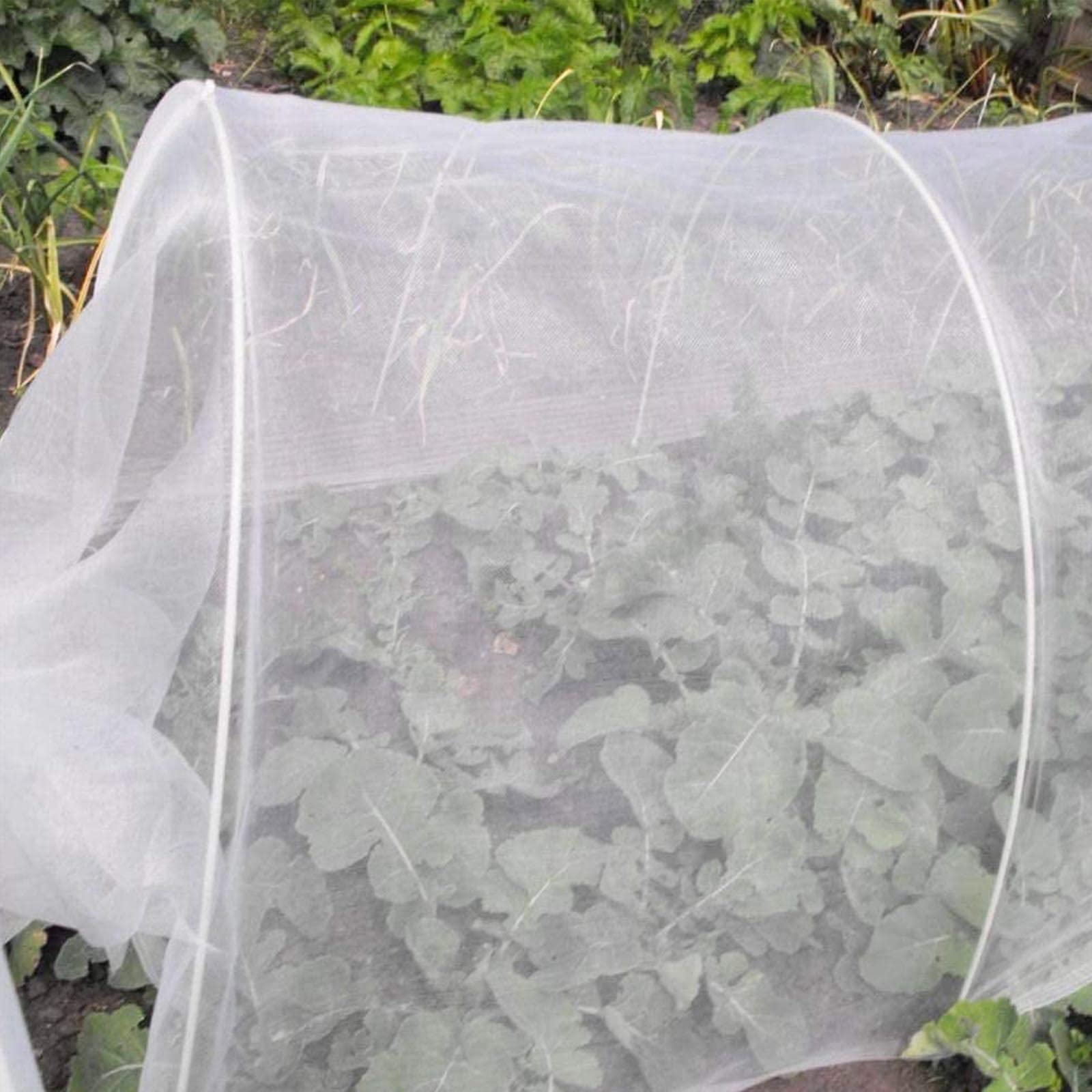 Rete per insetti a maglie strette， Garden Netting Plants Vegetables Fruits Flowers Protection Insects Birds White Multiple Sizes(1.5x10m/4.9x32.8ft)