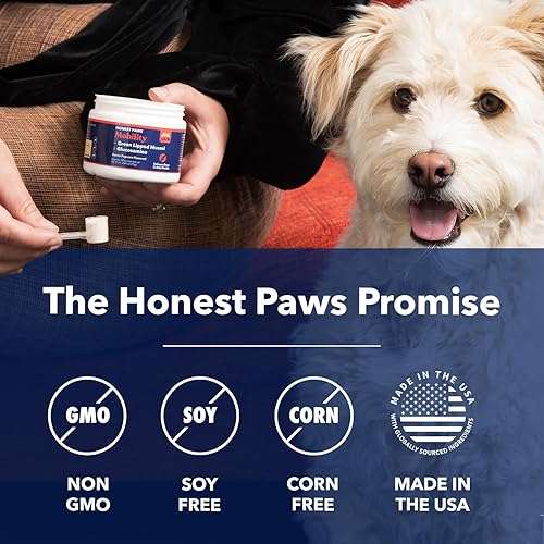 Miniatura 8 de Honest Paws Suplemento articular para perros - Apoya la movilidad, la salud de la cadera y las articulaciones, alivia la rigidez, glucosamina,