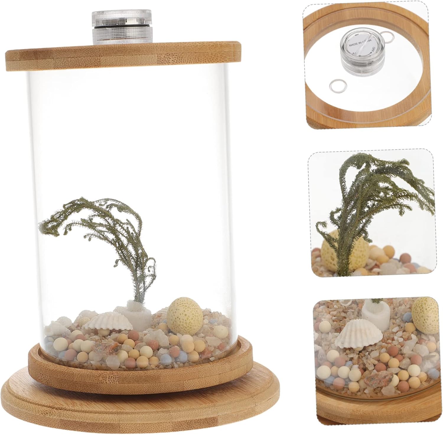 Eco-Design Fish Bowl Desktop Fish Aquarium Home Office Decor Aquarium Rocks Creative Micro-Landscape