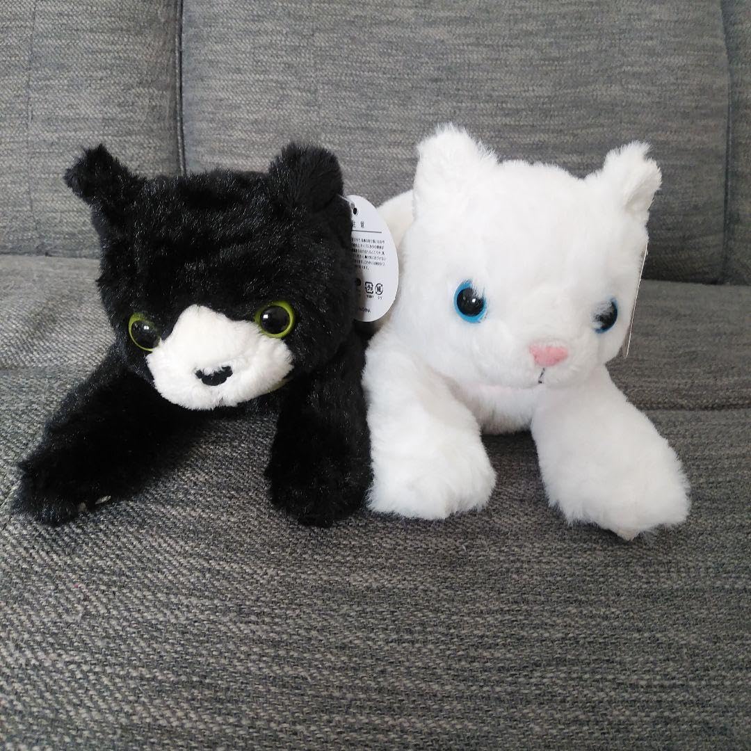 【人気ぬいぐるみ作家haco_decoさん】グラスアイの白黒ニャンコ 人気ぬいぐるみ作家haco_decoさん】グラスアイの白黒ニャンコ 商品一覧